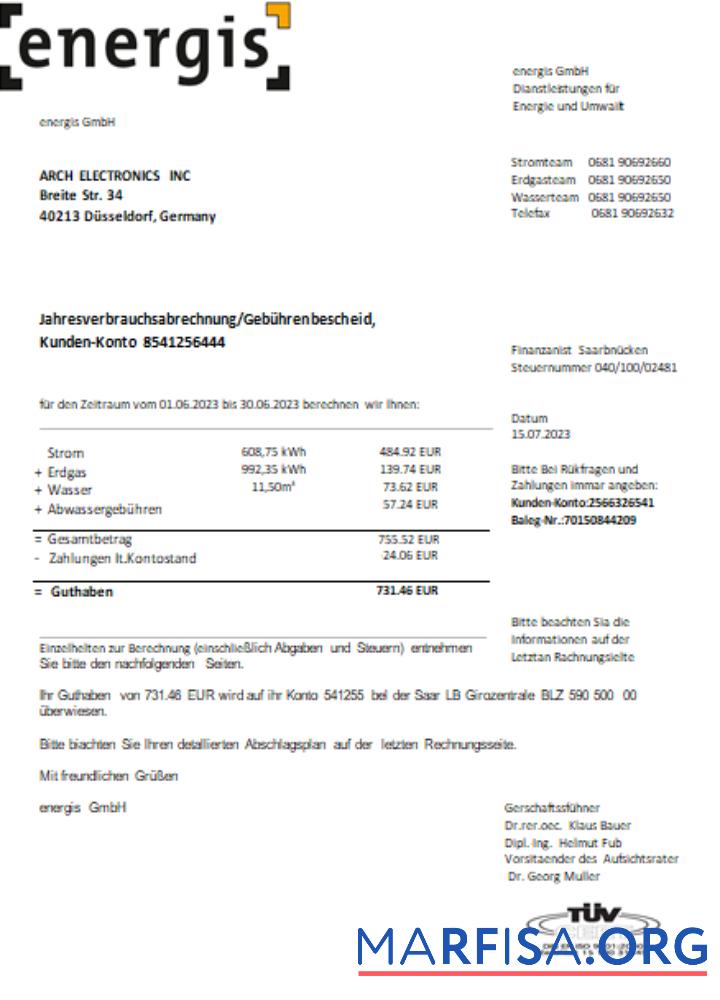 Blank Germany Energis utility business bill, SCR example